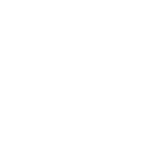 Icone Facebook