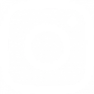 logo instagram blanc vectoriel
